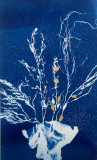 cration-cyanotype-sarzeau-armelle-1356