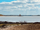 file-67a0ad6e42602-1180