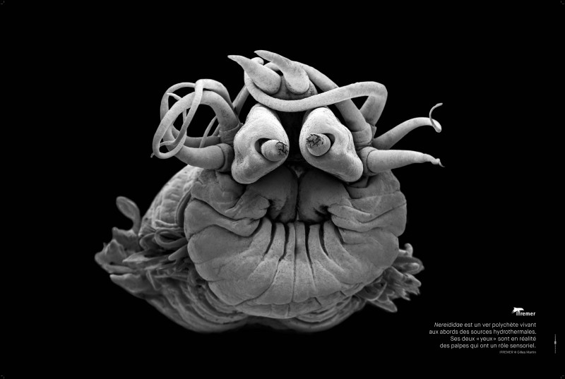 2-exe-panneau-h-1500x1000-290719-glisse-s-10-1445