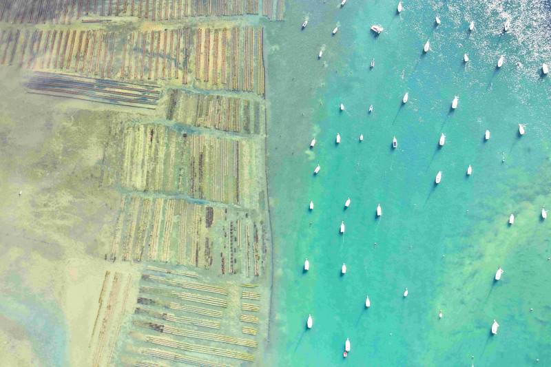 alamoureux-ds-6886-907 alamoureux-ds-6886-907