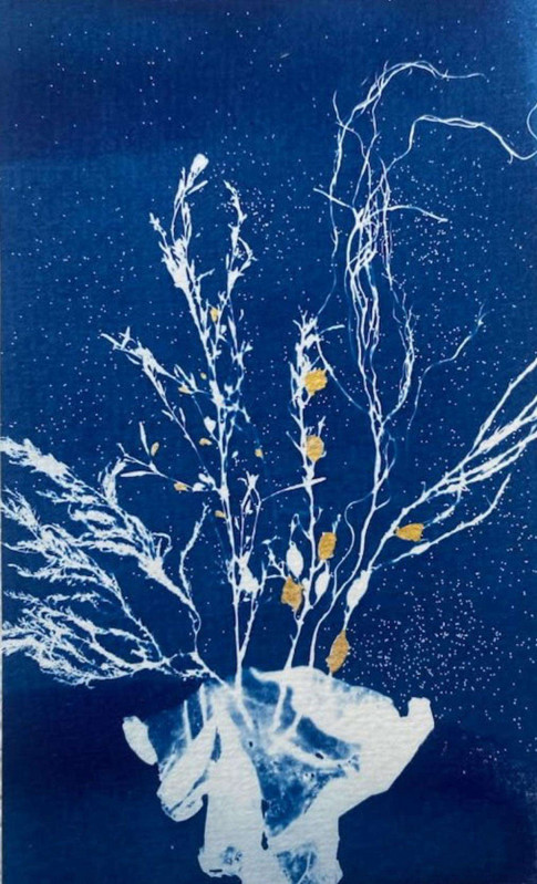 cration-cyanotype-sarzeau-armelle-1356