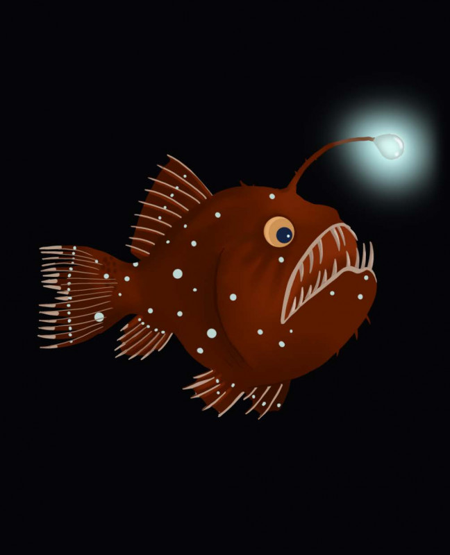 esp-ces-ostr-apolis-fond-noir-sans-rep-res-3-page-09-1456