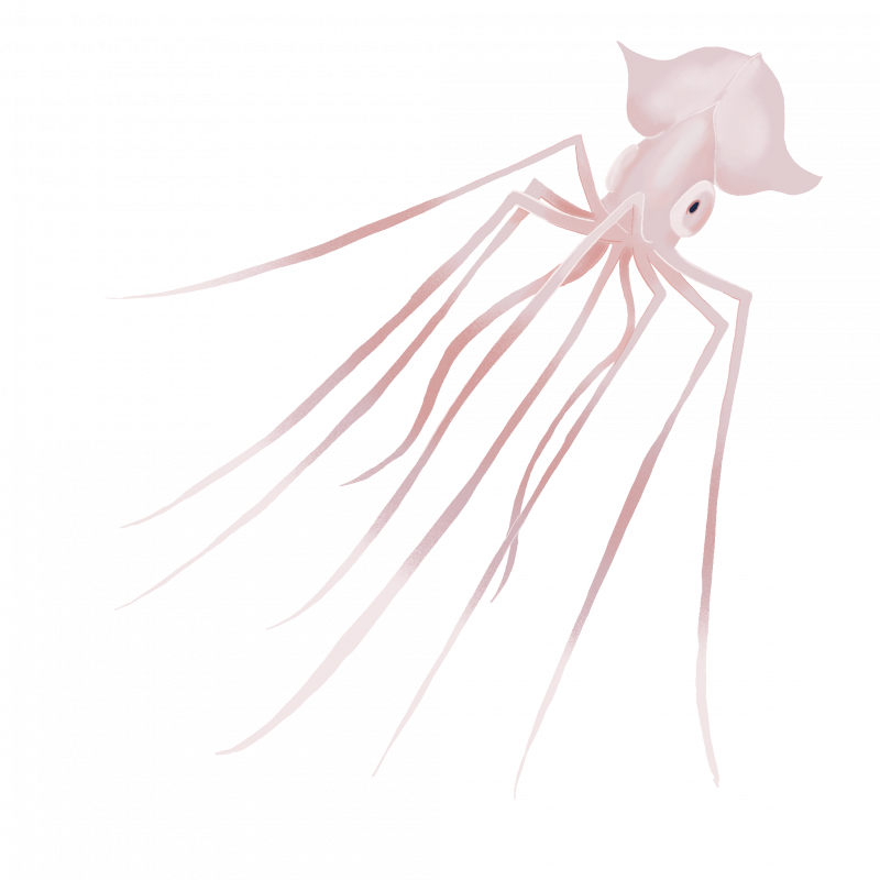 il4b77-1-1457 il4b77-1-1457