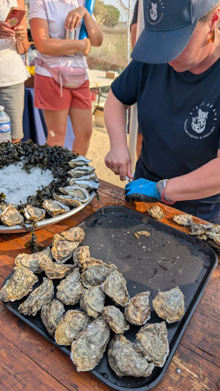 img-20250816-wa0079-1506