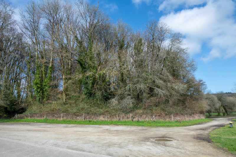 mode-castral-brandivy-1509