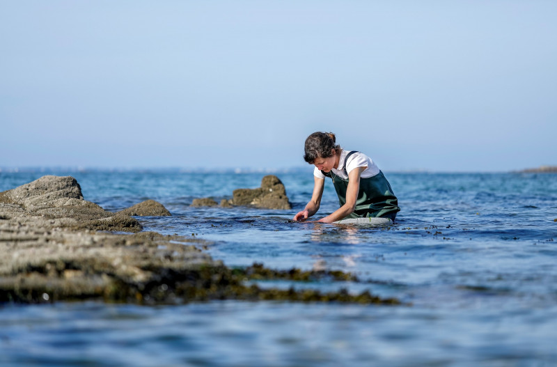 tybezhin1-988 tybezhin1-988